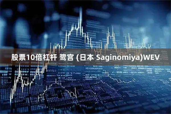 股票10倍杠杆 鹭宫 (日本 Saginomiya)WEV